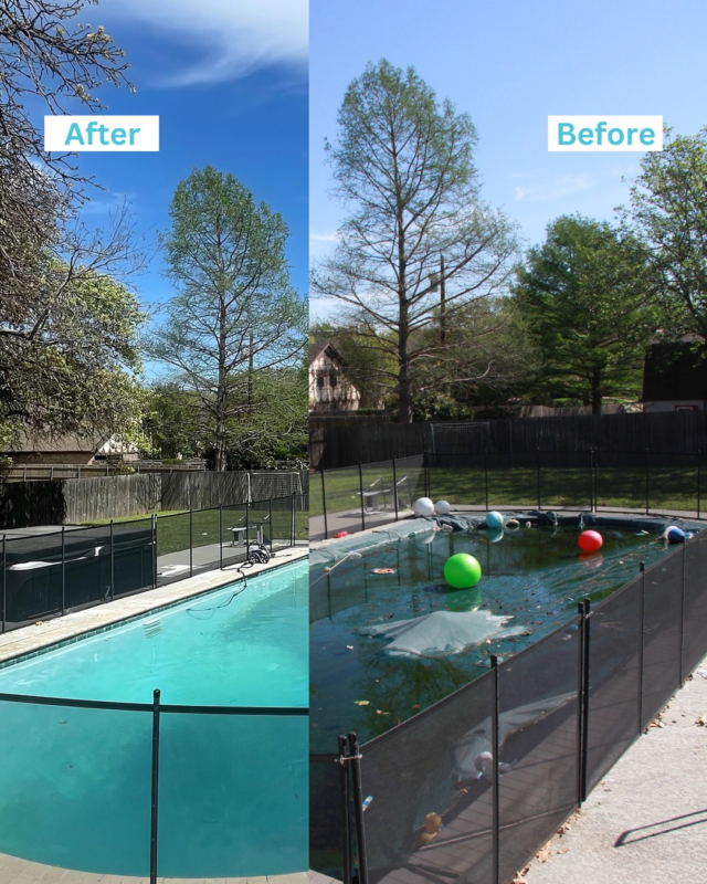 Green pool? No problem.

Our weekly cleaning and algae pros will have your pool swim-ready in no time! 💚 ➡️ 💙

Call us today for a free water care consultation!
📞 (817) 623-4627

#PulliamPools #GreenToClean #PoolMaintenance #FortWorthPools #OutdoorLiving #FortWorthSwimmingPools #PoolInspiration #PoolGoals